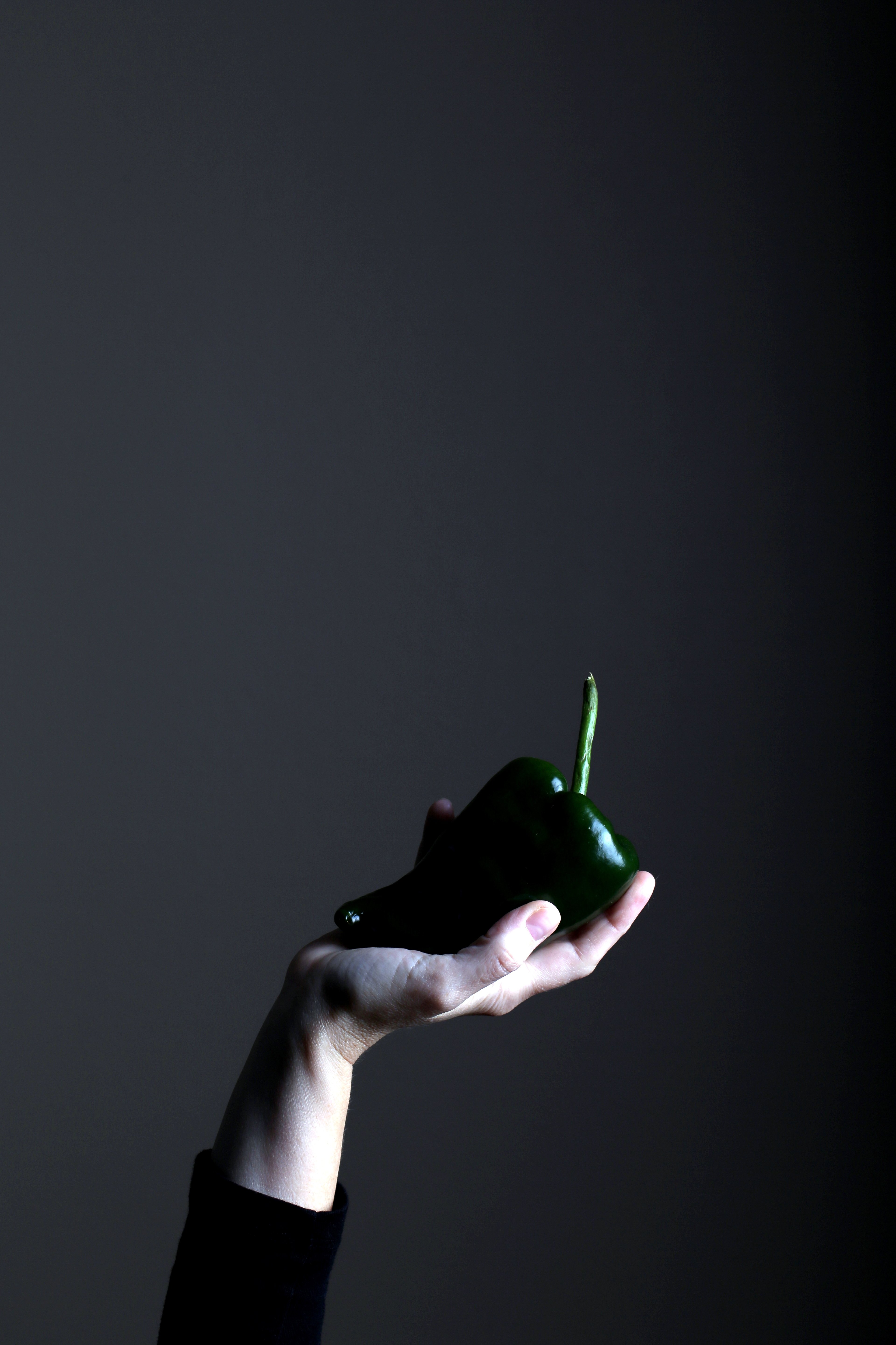One hand holding a poblano.