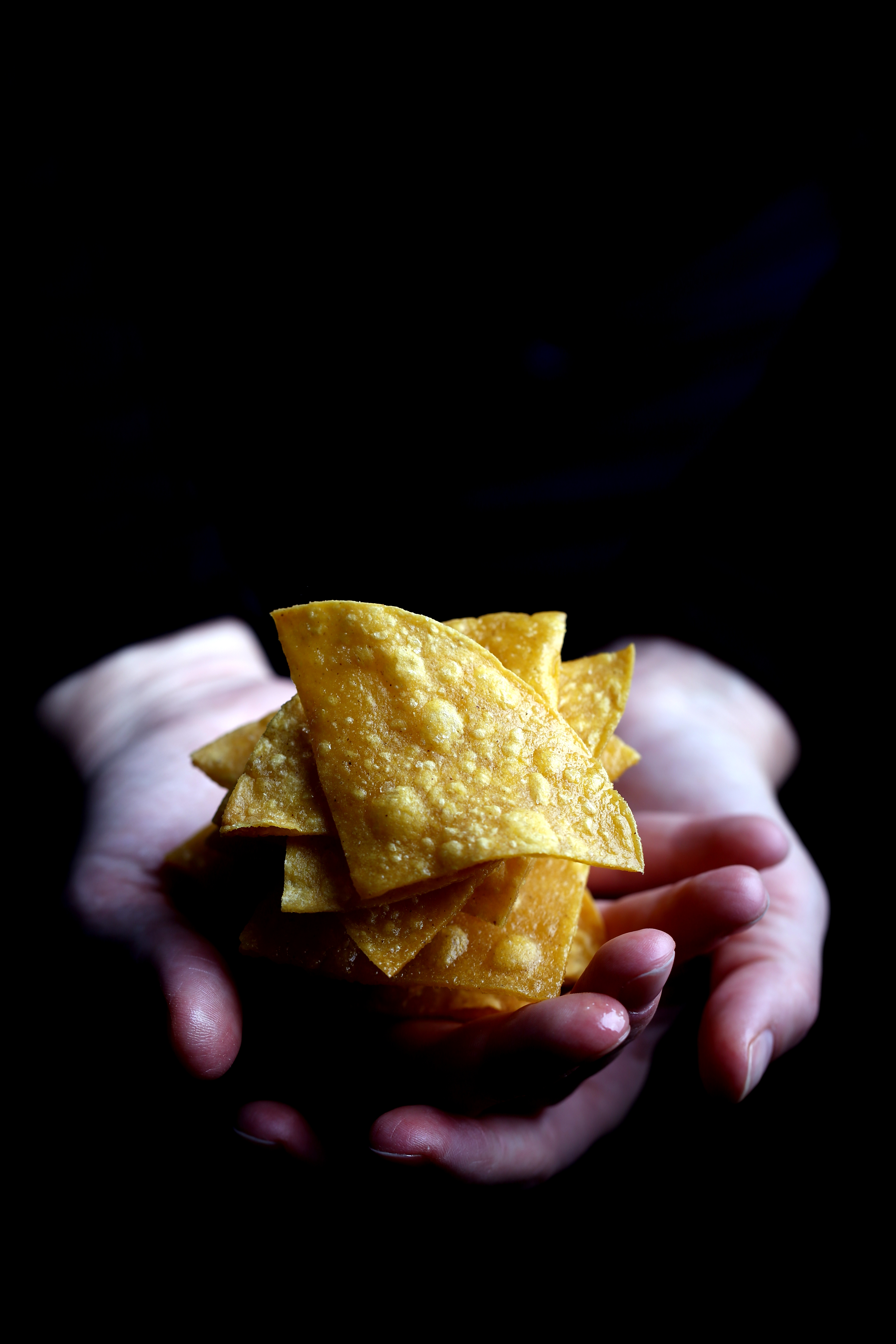 Hands holding homemade tortilla chips.