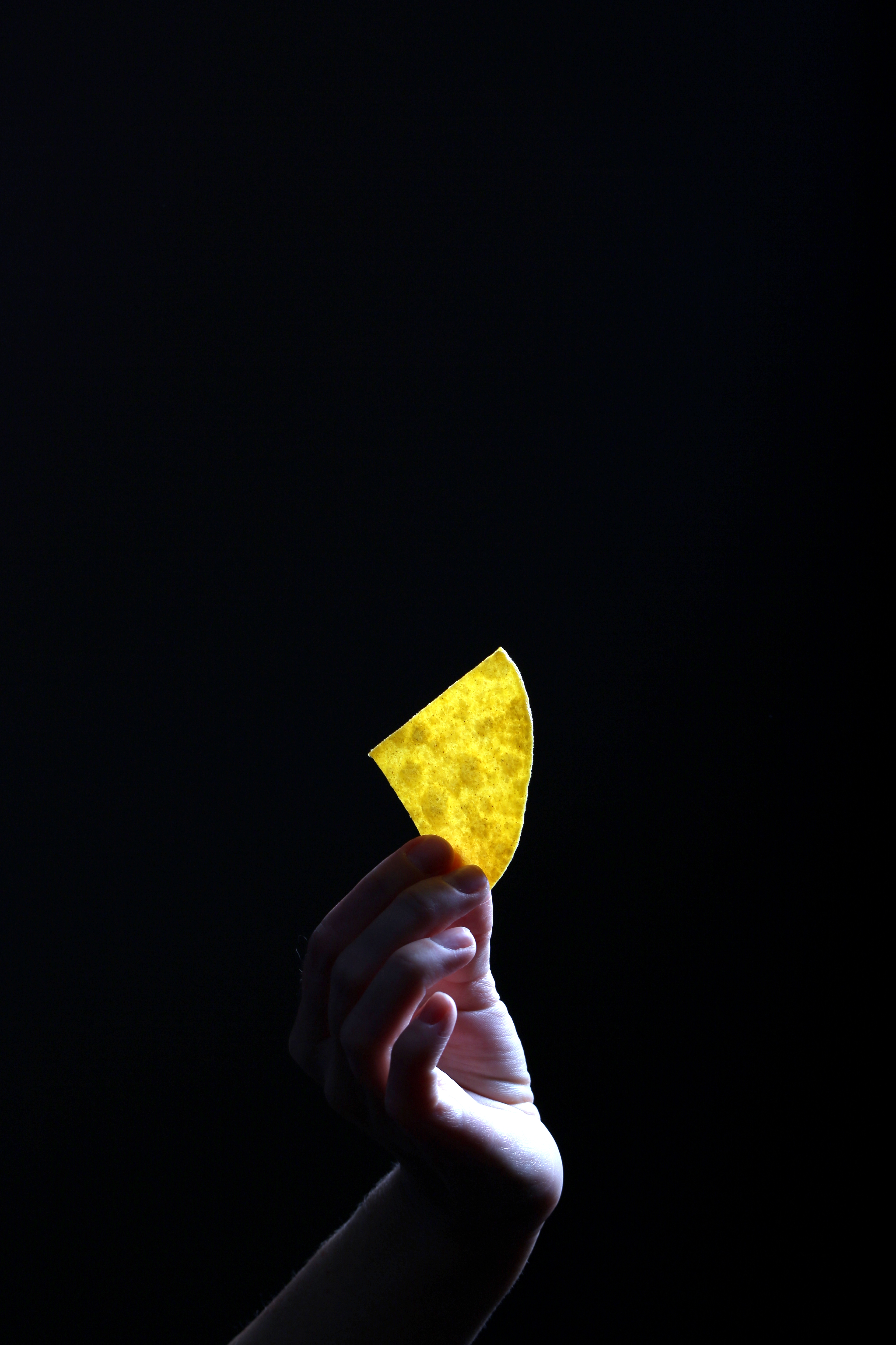 A hand holding a homemade tortilla chip.
