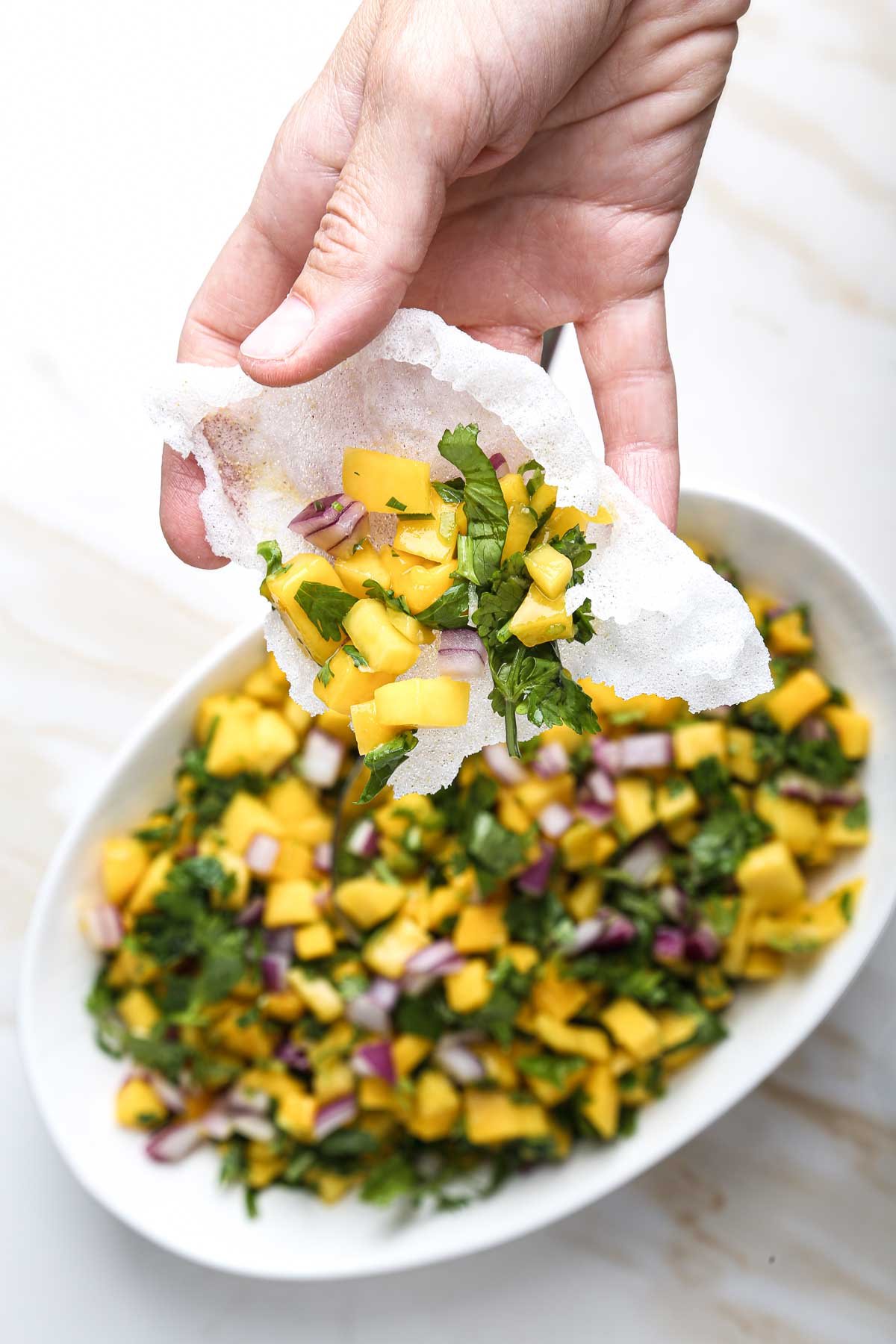 Hand holding a rice paper chip topped with fresh mango salsa, including cilantro and red onion.